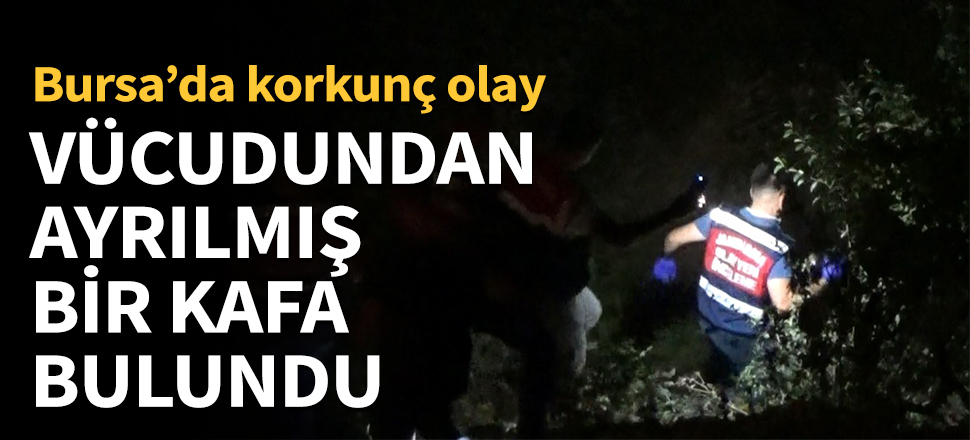 Vücudundan ayrılmış bir kafa bulundu!