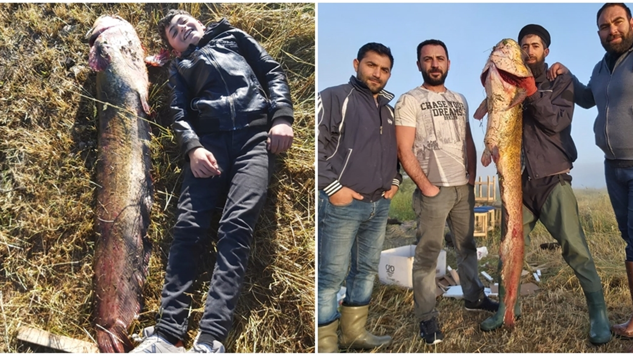 Sarıkamışlı amatör balıkçı dev yayın balığı yakaladı...