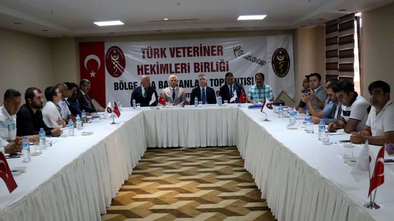 Gaziantep'te Başkan Ali Eroğlu: "Erken kuzu kesimi 30 bin ton et kaybına neden oluyor"