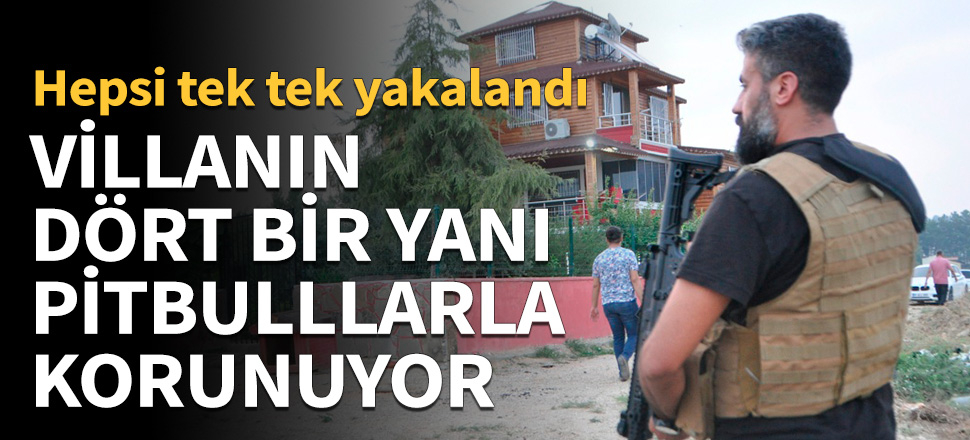 Villanın dört bir yanı pitbullarla korunuyor!