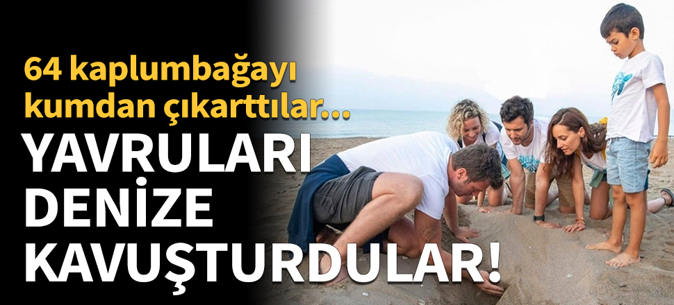 Ünlü oyuncular kaplumbağaları denize kavuşturdu!
