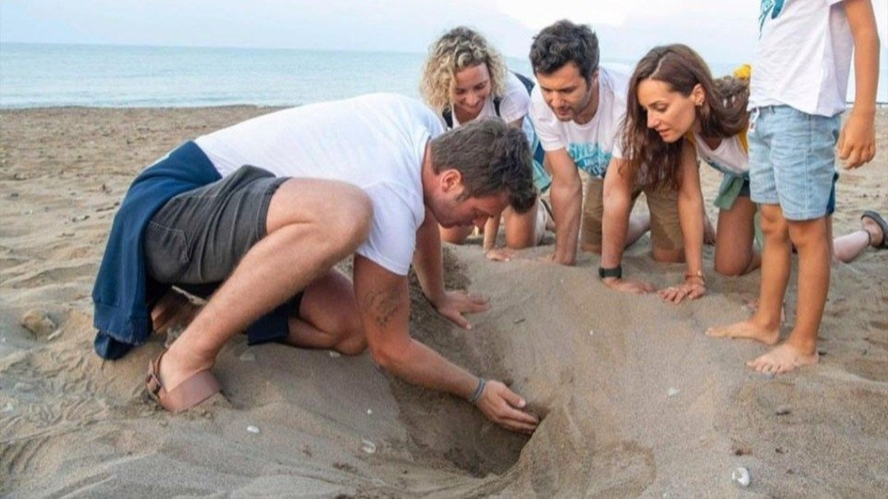 Uzmanlar uyardı: Denize elle taşırsanız balıklara yem olurlar!