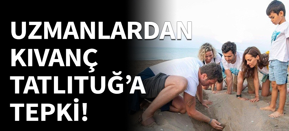 Uzmanlar uyardı: Denize elle taşırsanız balıklara yem olurlar!