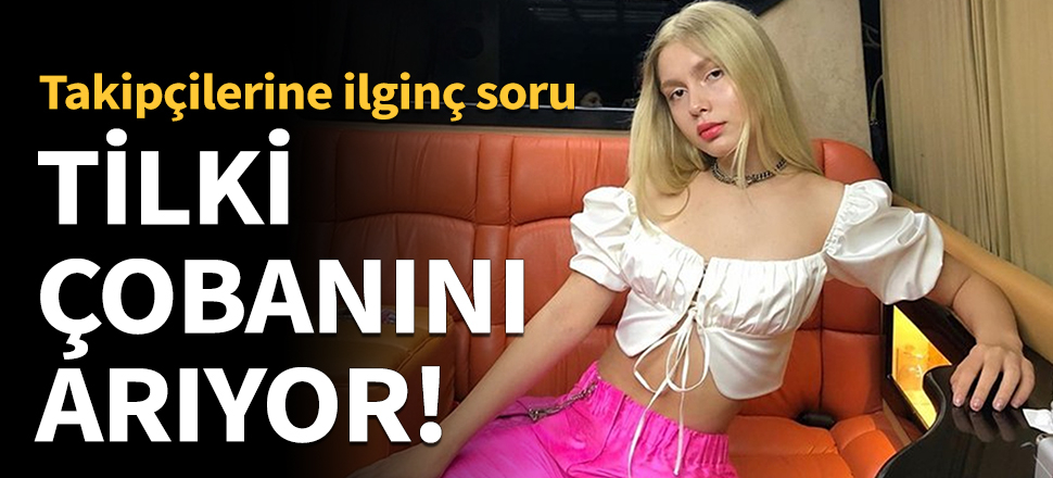 Tilki, çobanını sosyal medyada arıyor!