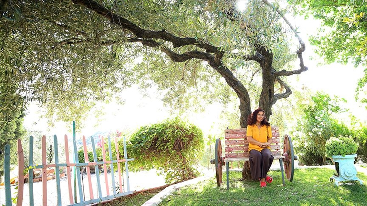 ABD'yi bırakıp zeytin yetiştirmek için Manisa'ya yerleştiler!