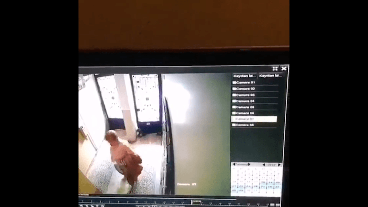 Kapıya sıkışan kediyi ölüme terk etti!