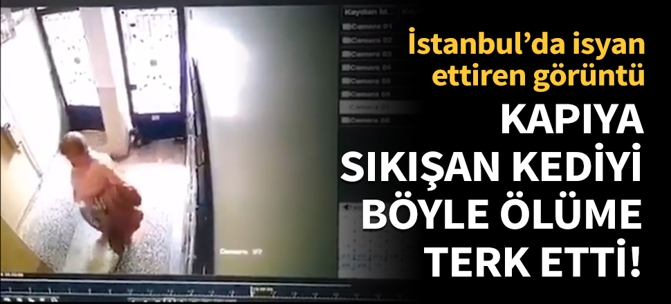 Kapıya sıkışan kediyi ölüme terk etti!