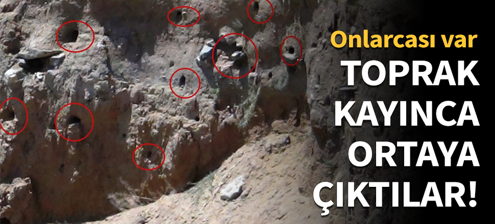 Van'da toprak kayınca ortaya çıktılar!