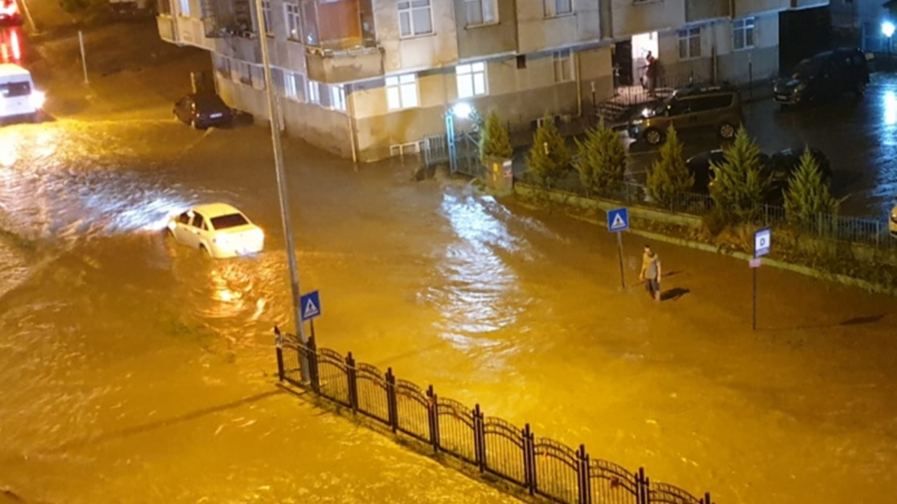 Sokakta biriken suya balıklama daldı...