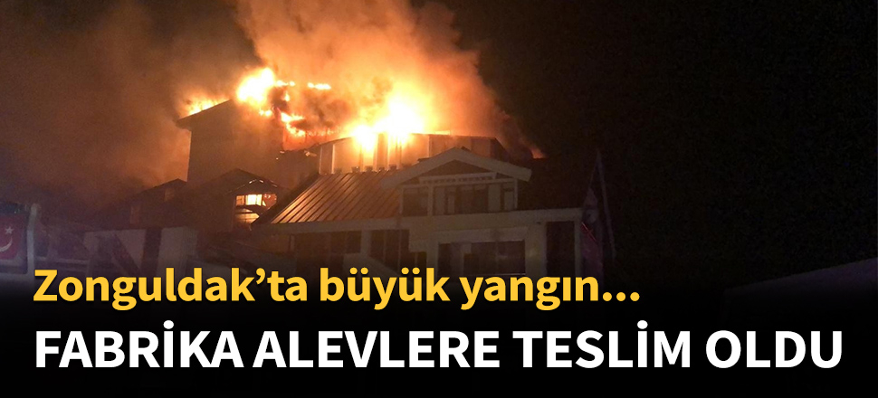 Fındık fabrikası alevlere teslim oldu...