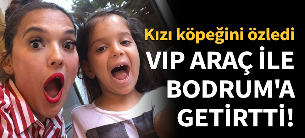 Köpeğini VIP araç ile Bodrum'a getirtti!