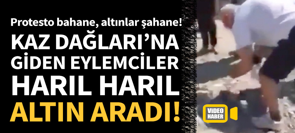 Kaz Dağları'na eyleme gittiler harıl harıl altın aradılar!