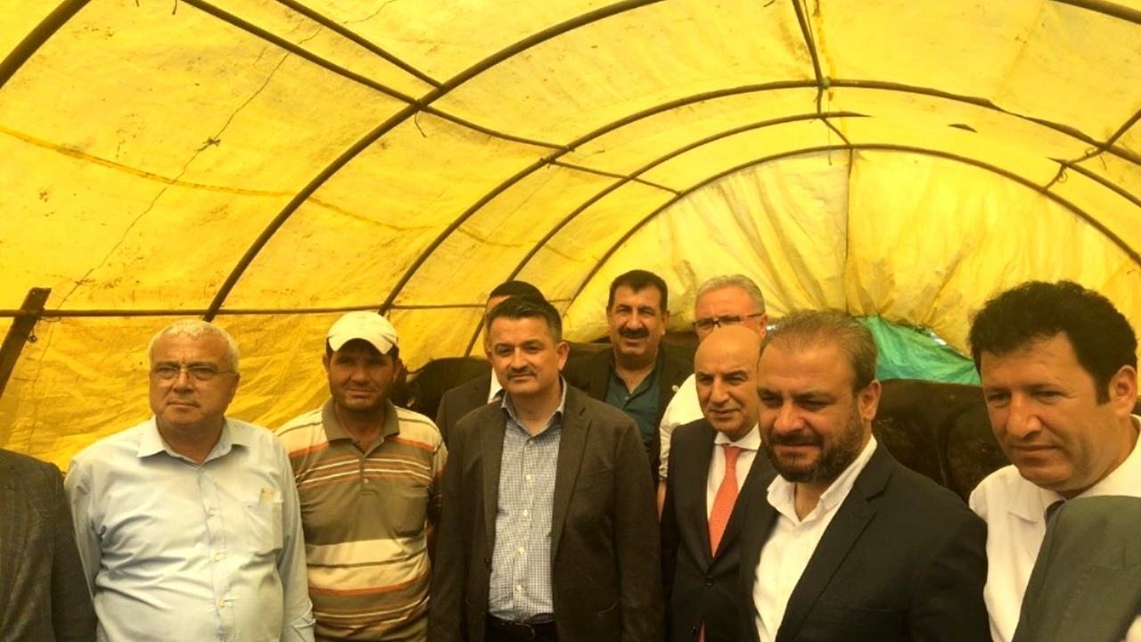 Ankara'da Bakan Bekir Pakdemirli’den ’kurban’ uyarısı