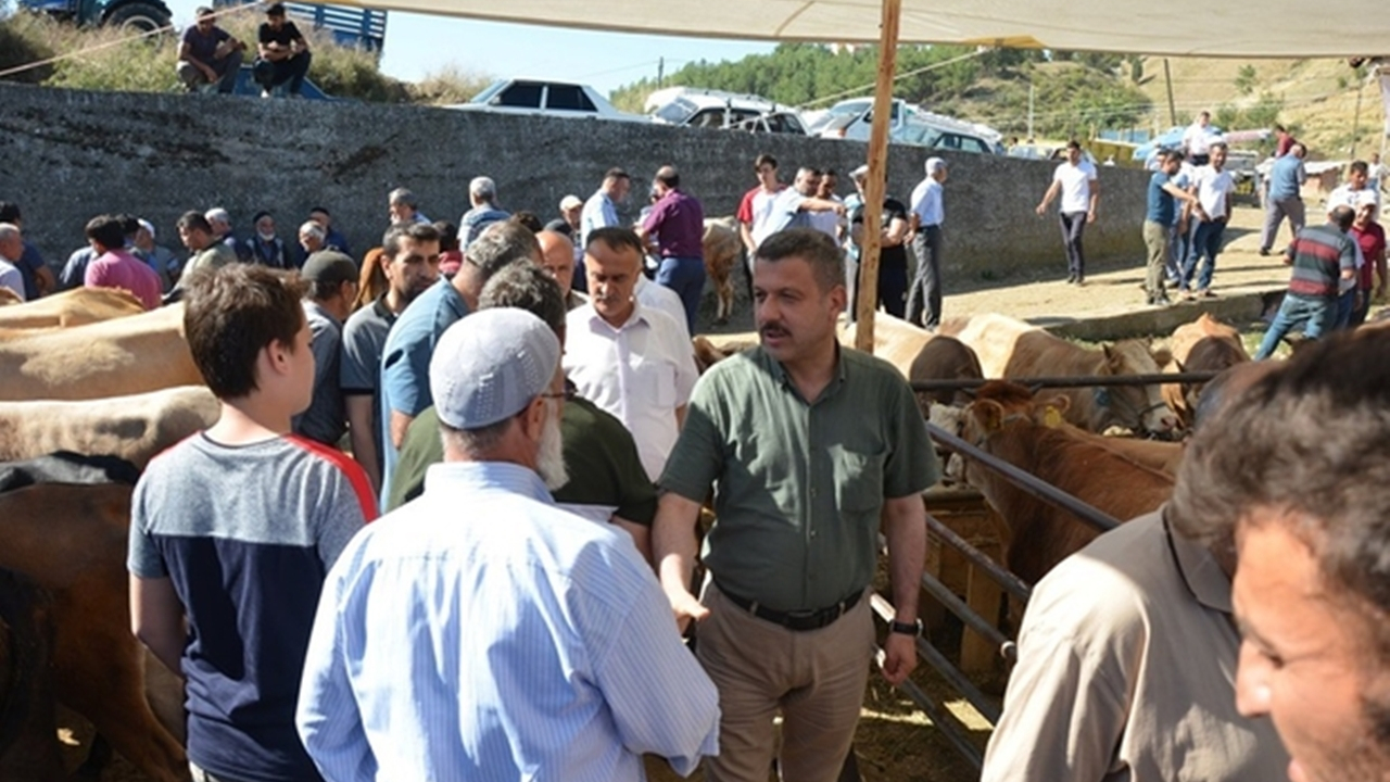 Sinop'ta Başkan Şefik Çakıcı, hayvan pazarını gezdi