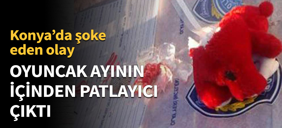 Oyuncak ayının içinden patlayıcı çıktı!
