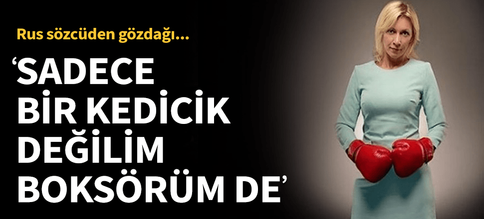 "Sadece bir kedicik değil boksörüm de!"