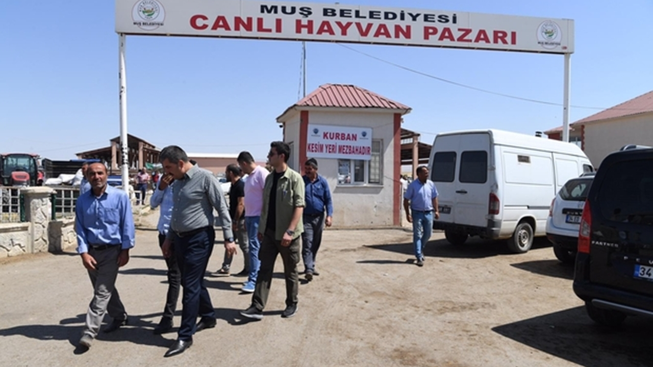 Van'da Başkan Feyat Asya, hayvan pazarını ziyaret etti
