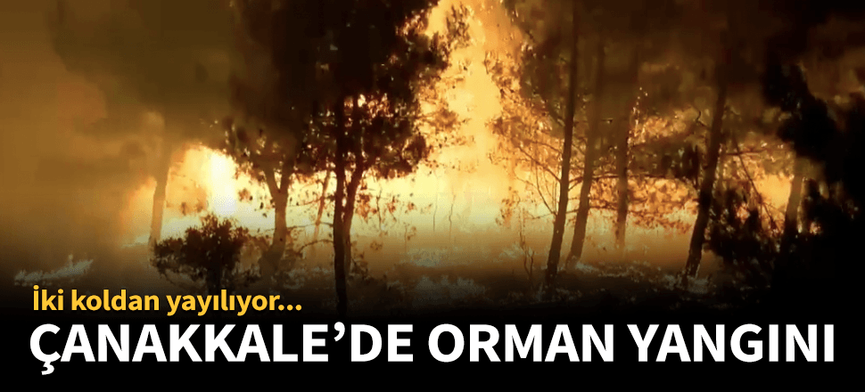 Çanakkale'de şehitliklerin yanında orman yangını!