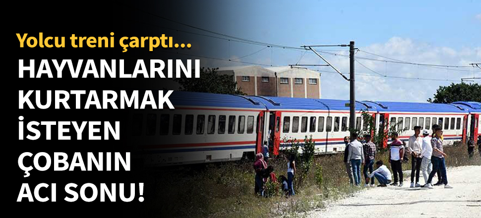 Hayvanlarını kurtarmak isteyen çobanın acı sonu!