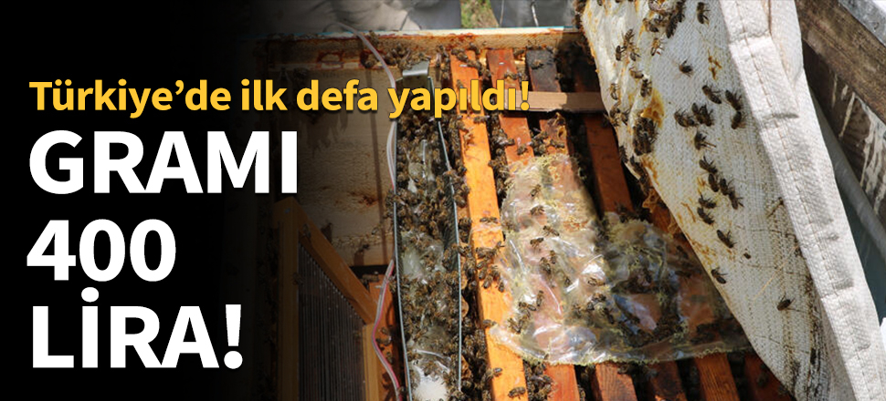 Gramı 400 lira!