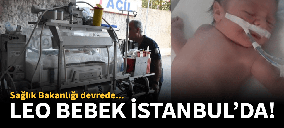 Leo bebek İstanbul'a getirildi!