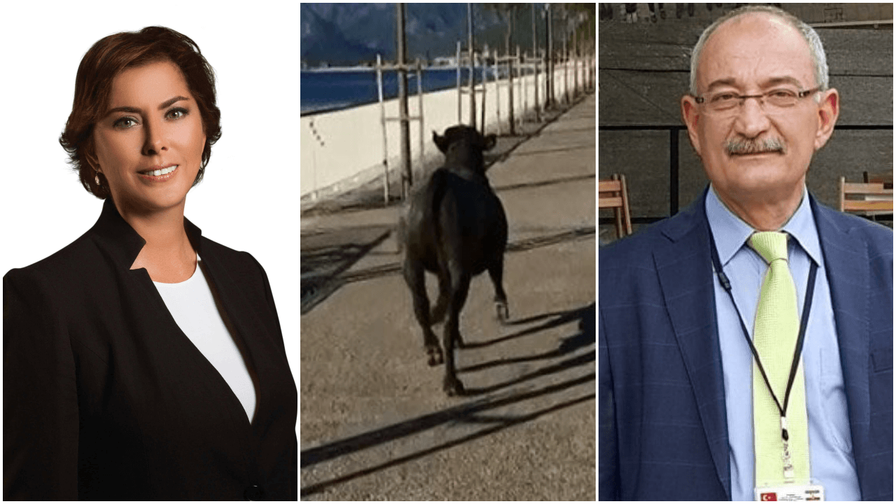 Emin Pazarcı'dan Şirin Payzın'a çok sert tepki!
