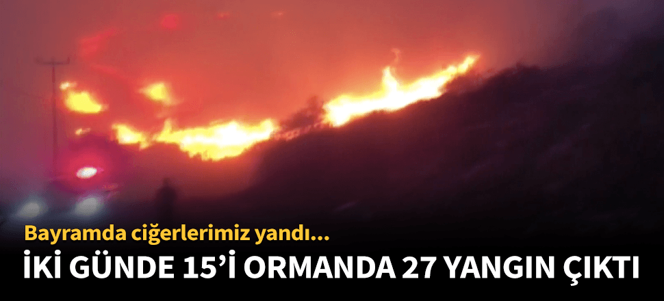 15'i orman toplam 27 yangın çıktı!
