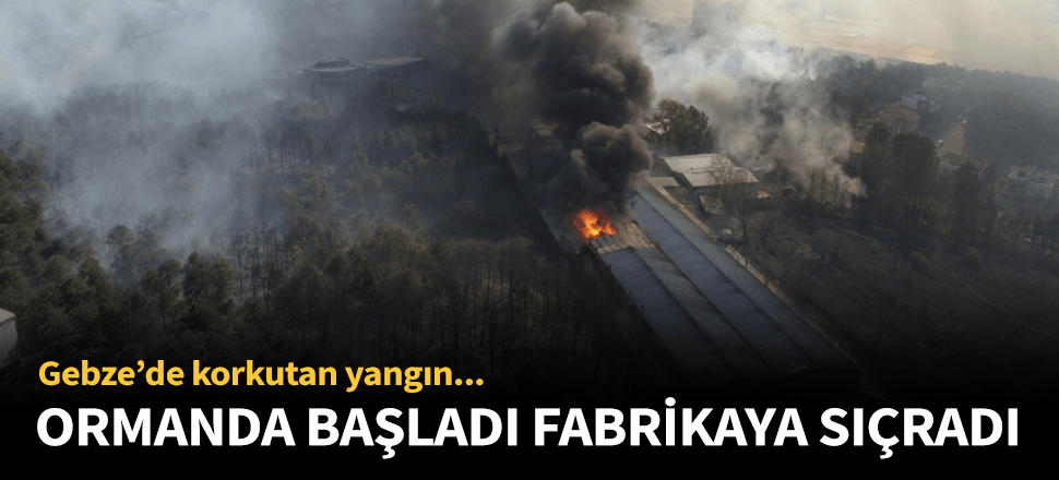 Gebze'de ormanda başlayan yangın fabrikaya sıçradı!