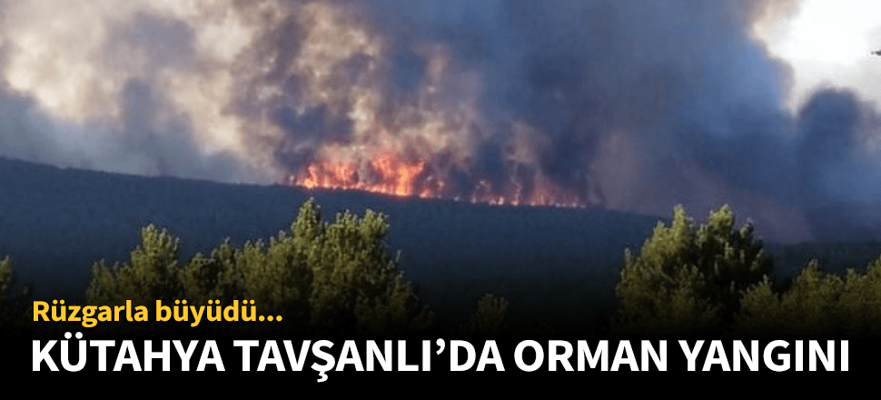 Bir yangın da Kütahya Tavşanlı'da! Hızla büyüdü...