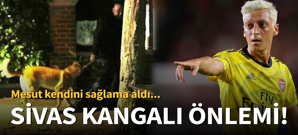 Mesut Özil'den 'Sivas Kangalı' önlemi!