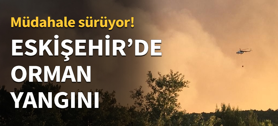 Orman yangını çıktı, ekipler alarma geçti...