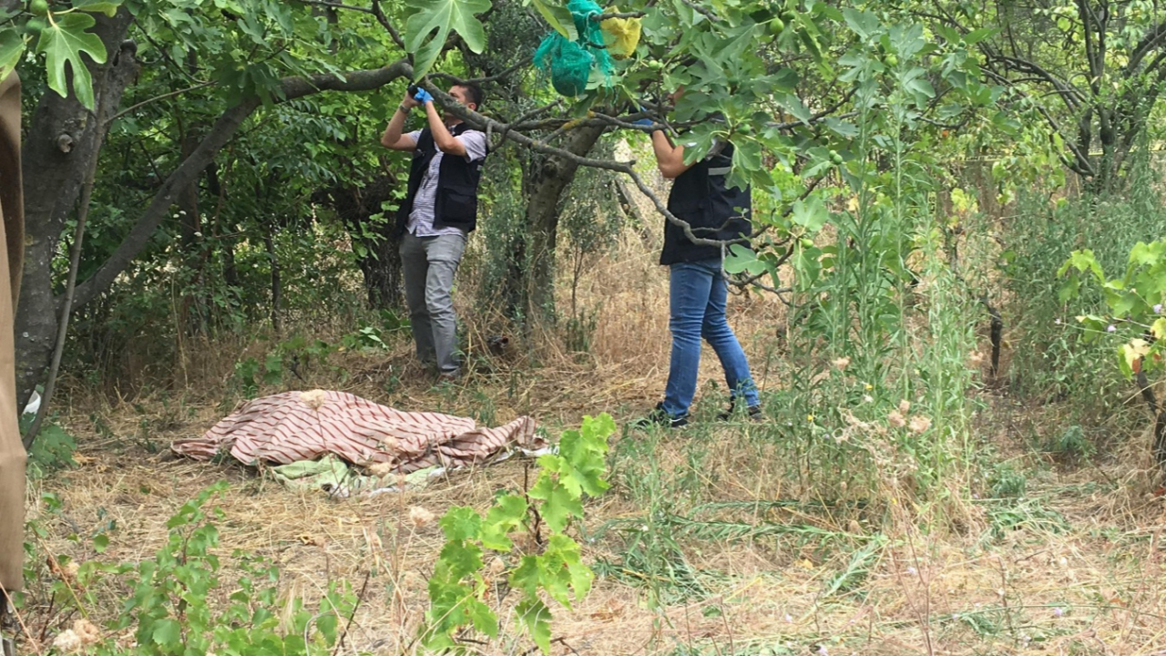 Boynu ağaç dallarının arasına sıkıştı!