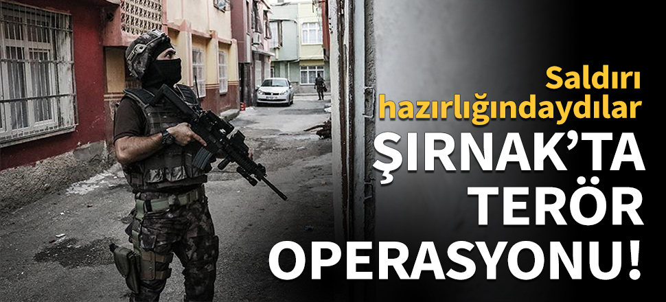 Şırnak'ta terör operasyonu!