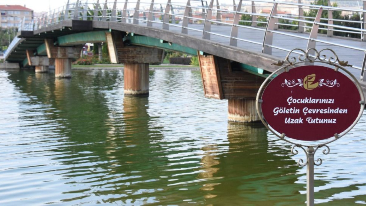 'Cennete gitsin' deyip oğlunu gölete attı!