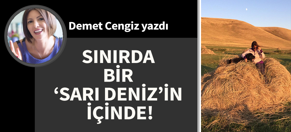 Sınırda bir ‘sarı deniz’in içinde!