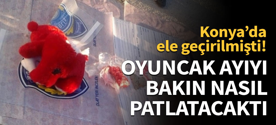 Oyuncak ayıyı bakın nasıl patlatacaktı!