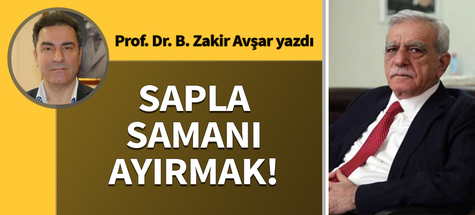 Sapla samanı ayırmak
