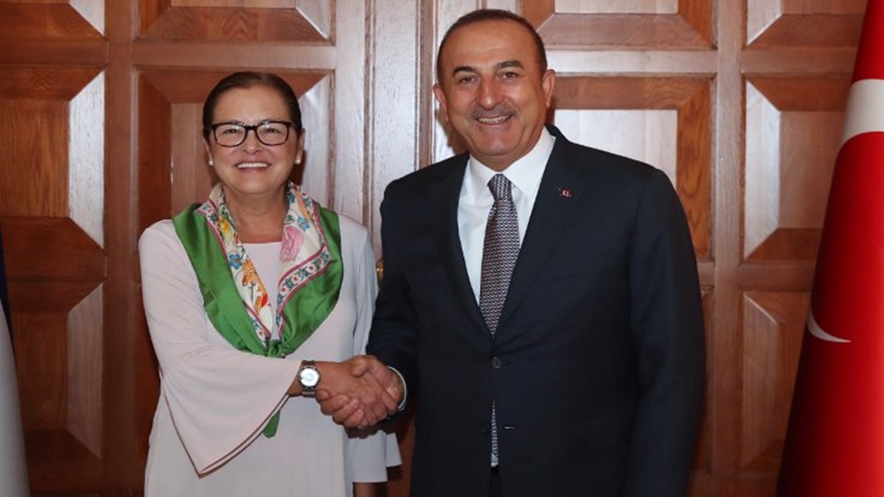 Ankara'da Bakan Mevlüt Çavuşoğlu: Rejimin ateşle oynamaması gerek