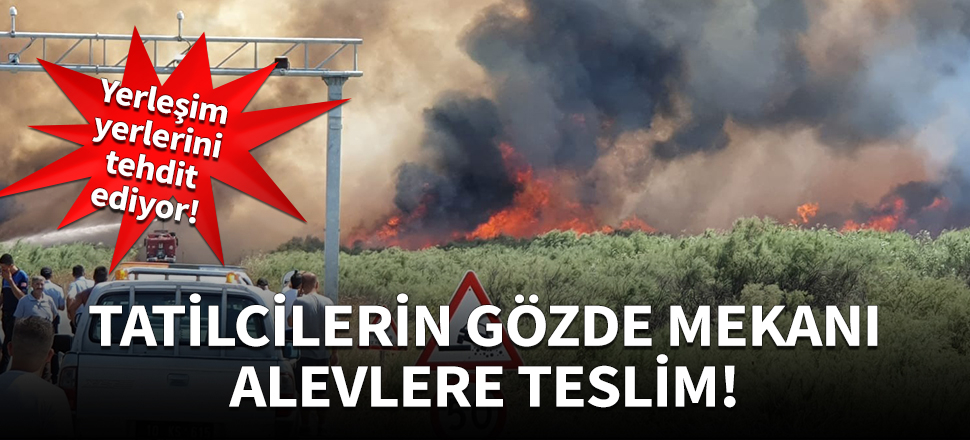Tatilcilerin gözde mekanı alevlere teslim!