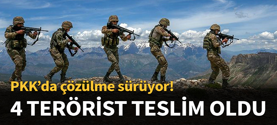 Şırnak'ta 4 terörist teslim oldu...