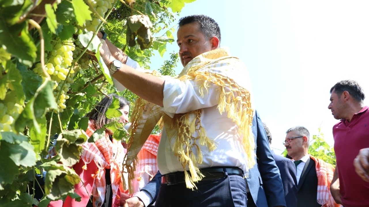 Manisa'da Bakan Bekir Pakdemirli üzüm bağına girdi hasat yaptı