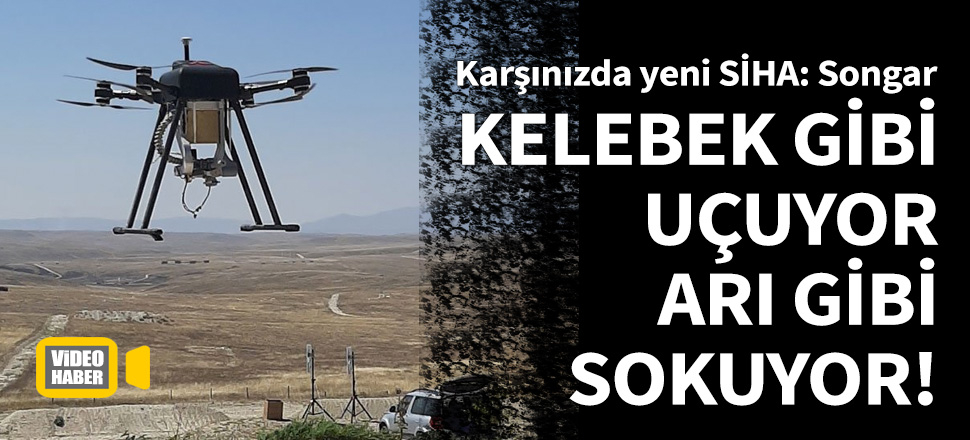 Kelebek gibi uçuyor, arı gibi sokuyor!