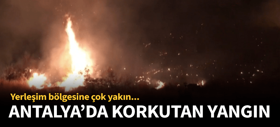 Antalya Kumluca'da orman yangını!