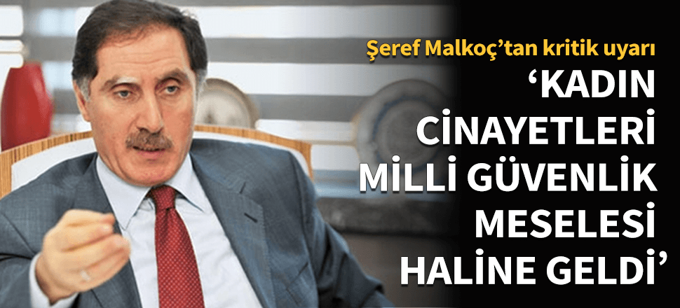"Kadın cinayetleri milli güvenlik meselesi haline geldi"