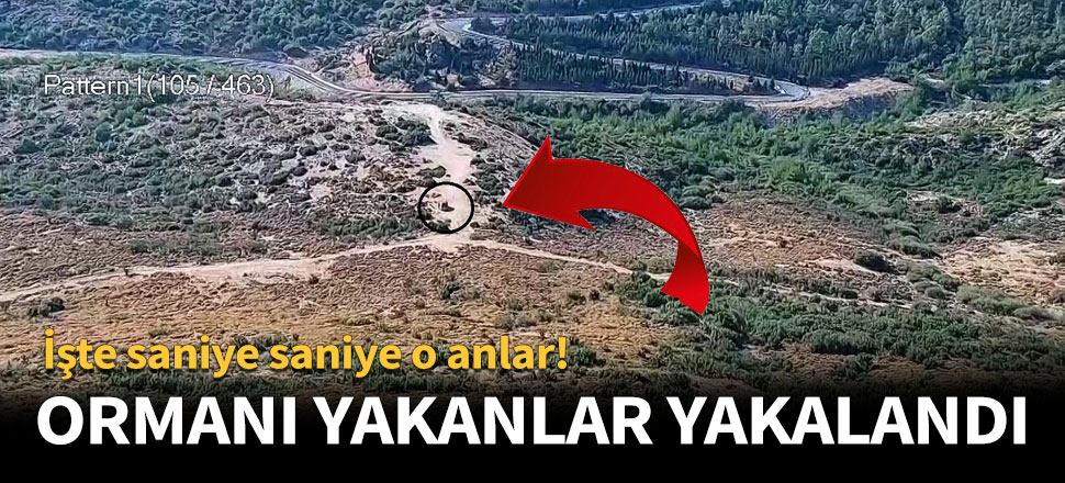 Ormanı ateşe verenler yakalandı!
