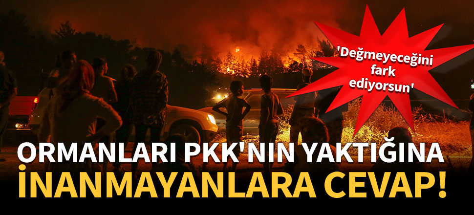 Ormanları PKK'nın yaktığına inanmayanlara cevap