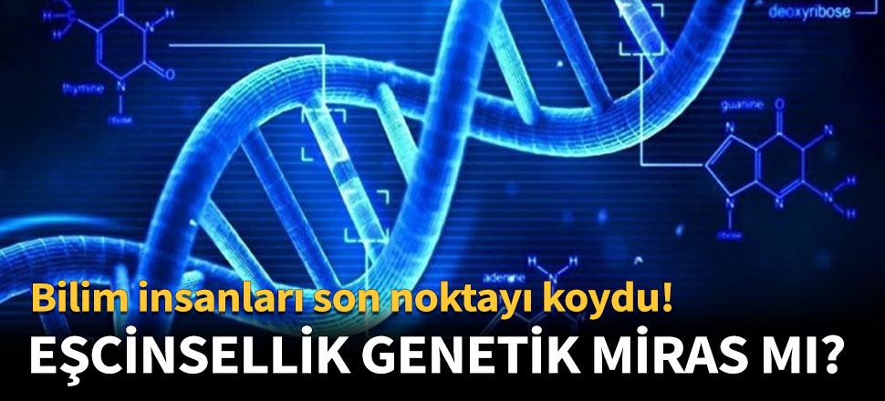 Bilim insanları son noktayı koydu