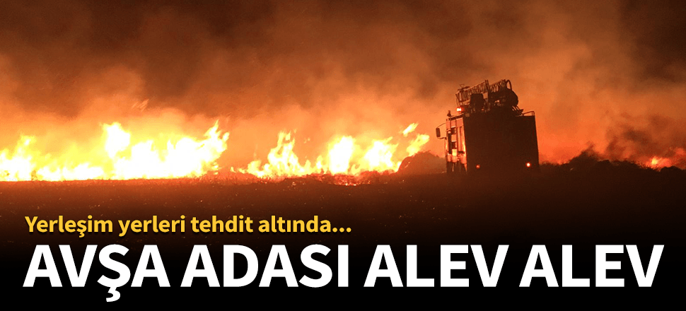 Avşa adasında korkutan yangın!