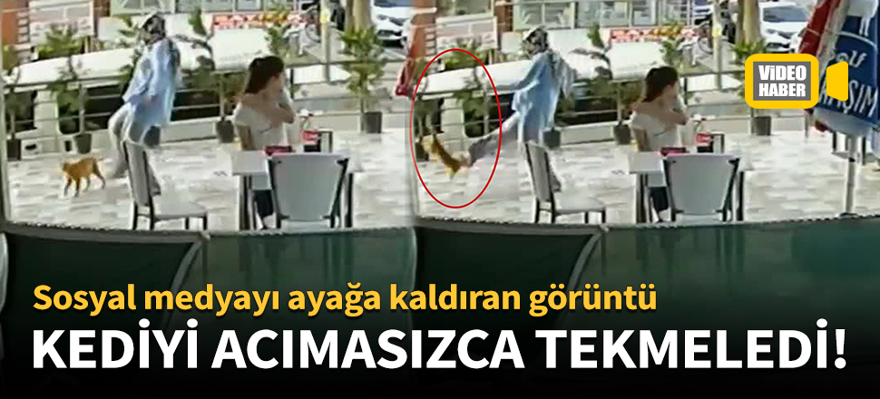 Kediyi acımasızca tekmeledi!