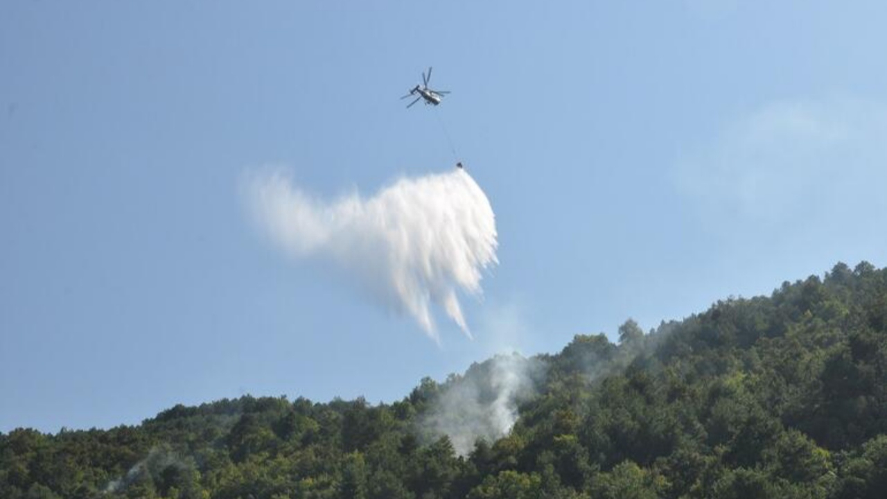 Sinop ve Adana'da şüpheli yangınlar!